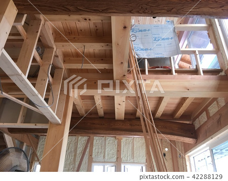 新建的獨立式住宅 新建的獨立式住宅 42288129