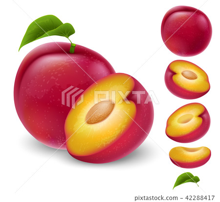 Set of plum fruit 42288417