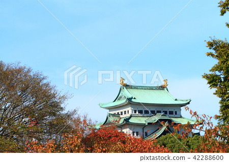 在秋天都市風景的名古屋城堡 在秋天都市風景的名古屋城堡 42288600