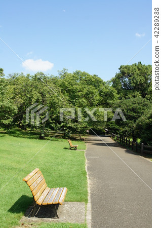 公園的長椅上 公園的長椅上 42289288