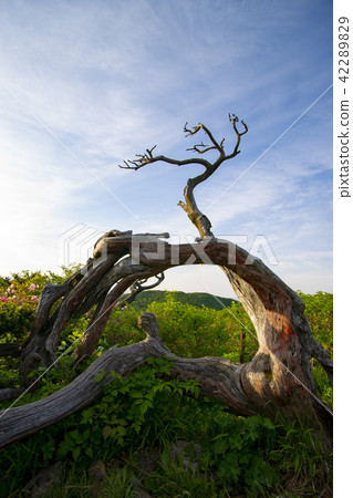 Taebaeksan, Taebaeksi, Gangwon-do 42289829