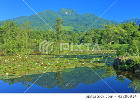 Imori Pond和Mt. Myoko Imori Pond和Mt. Myoko 42290914