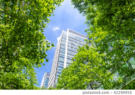 Landscape of many green office streets Landscape of many green office streets 42290958