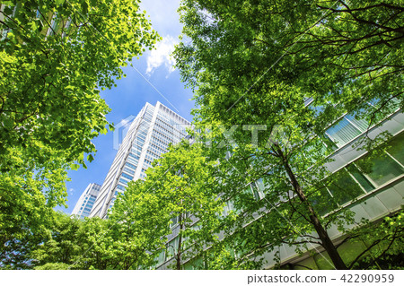 Landscape of many green office streets Landscape of many green office streets 42290959