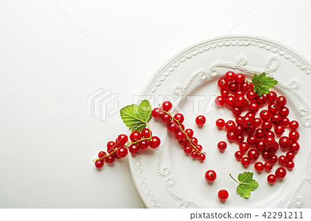 Redcurrant berries Redcurrant berries 42291211