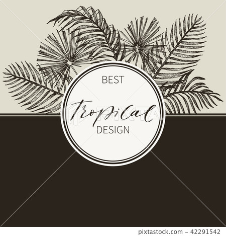 Tropical palm leaves. Jungle round illustration with coconut, aralia leaves. Design template. High Tropical palm leaves. Jungle round illustration with coconut, aralia leaves. Design template. High 42291542
