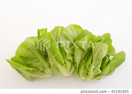 Fresh vegetables 42292805