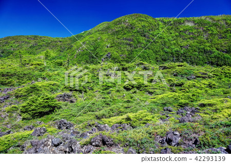 Tsuboniwa Tsuboniwa 42293139