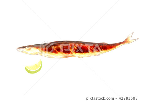 Grilled saury 42293595