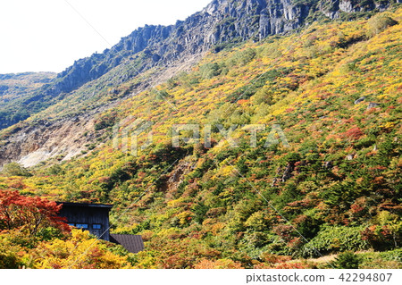 Autumn leaves of Adachi-tama Autumn leaves of Adachi-tama 42294807
