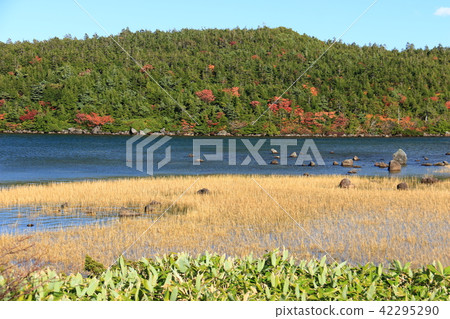 Autumn's Azumayama Jodo Pure Flat Kamonuma trekking 42295290