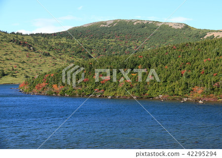 秋天的Azumayama Jodo Pure Flat Kamonuma徒步旅行 秋天的Azumayama Jodo Pure Flat Kamonuma徒步旅行 42295294