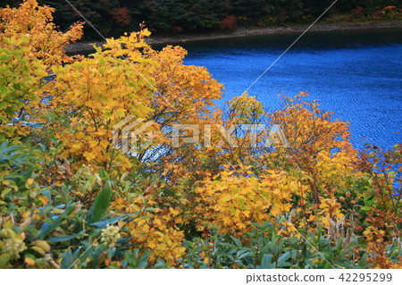 秋天的Azumayama Jodo平原徒步旅行 秋天的Azumayama Jodo平原徒步旅行 42295299