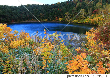 秋天的Azumayama Jodo平原徒步旅行 秋天的Azumayama Jodo平原徒步旅行 42295301
