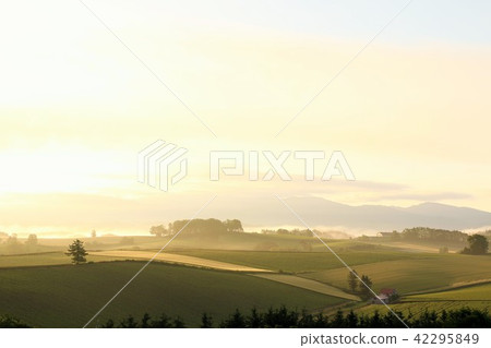 Hokkaido sunrise and morning mist Hokkaido sunrise and morning mist 42295849