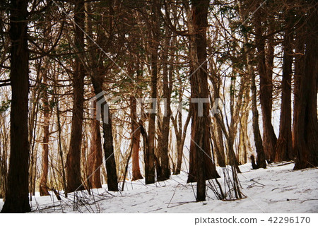 通往Grandmothersan山頂的道路 42296170