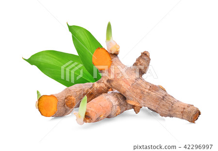 turmeric root with green leaves isolated on white  42296997