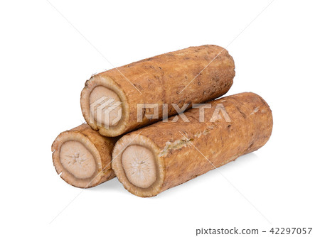 burdock roots or kobo isolated on white background burdock roots or kobo isolated on white background 42297057