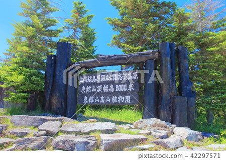 Shiga Kogen Higashi-kotoyama Takayama Botanical Garden Shiga Kogen Higashi-kotoyama Takayama Botanical Garden 42297571