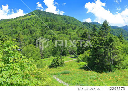 Higashi-Boyama高山植物園和Terakoya山(志賀高原) Higashi-Boyama高山植物園和Terakoya山(志賀高原) 42297573