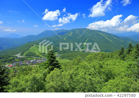 Shiga Takara Yabayama Shiga Takara Yabayama 42297580