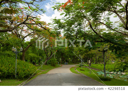 park chatuchak path queen bangkok sirikit beautifu 42298518