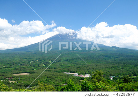Mt. Fuji和Aokigahara jikai俯瞰Komonadai Mt. Fuji和Aokigahara jikai俯瞰Komonadai 42298677