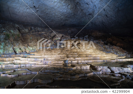 昭和堂100板 42299904