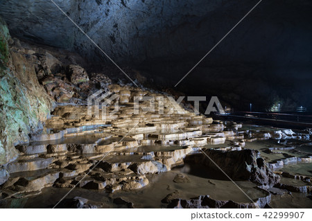 昭和堂100板 42299907