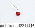 櫻桃 42299916