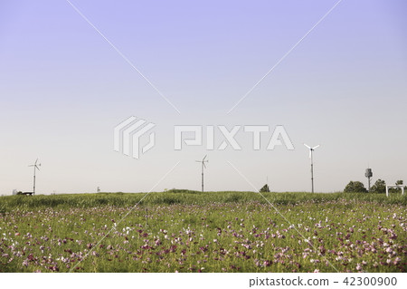 Beautiful natural scenery Beautiful natural scenery 42300900