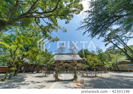 Kikuchi Shrine Kikuchi Shrine 42301196