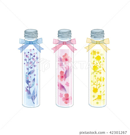 乾燥標本集圖 乾燥標本集圖 42301267