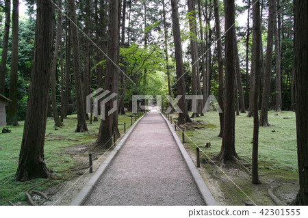 奈良Toshodaiji寺/ Kanedo Kazami寺 奈良Toshodaiji寺/ Kanedo Kazami寺 42301555