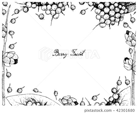 False Black Pepper and Ephedra Triandra Fruits 42301680