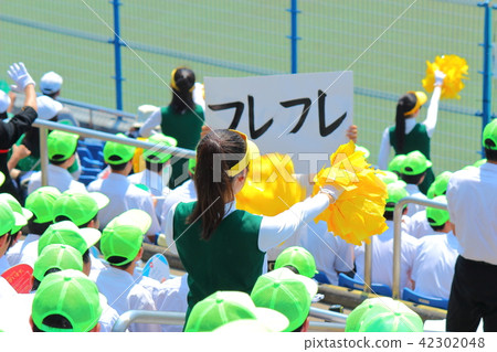 Baseball cheering Baseball cheering 42302048