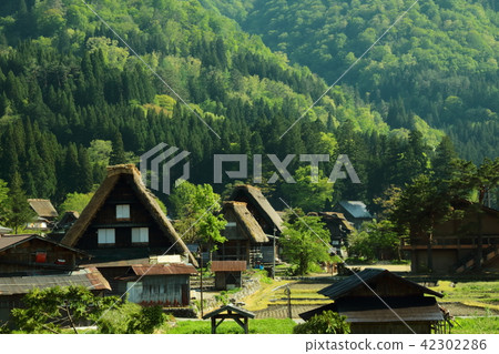 Shirakawago (5) 42302286