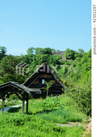 Shirakawago (6) 42302287