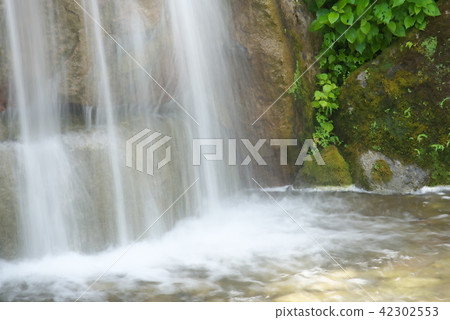 Waterfall and fresh green Waterfall and fresh green 42302553