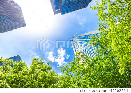 許多綠色辦公室街道風景 許多綠色辦公室街道風景 42302564