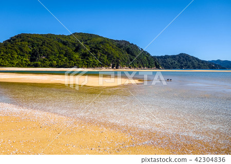 Abel Tasman National Park, New Zealand 42304836