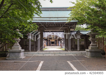 琴平神社 琴平神社 42304993