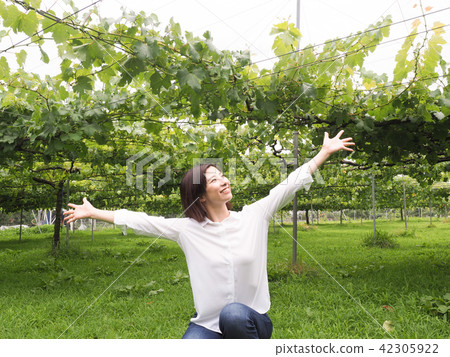 A woman spreading her hands at a vineyard A woman spreading her hands at a vineyard 42305922
