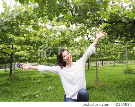 A woman spreading her hands at a vineyard A woman spreading her hands at a vineyard 42305923