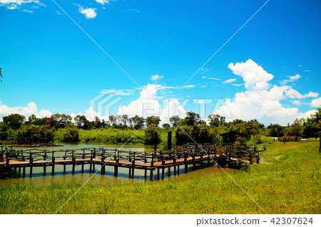 冬山河生態風景,河水,橋橋,台灣,宜蘭崗,福山,白雲,藍靛,草原,森林 冬山河生態風景,河水,橋橋,台灣,宜蘭崗,福山,白雲,藍靛,草原,森林 42307624