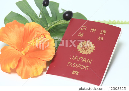 護照 42308825