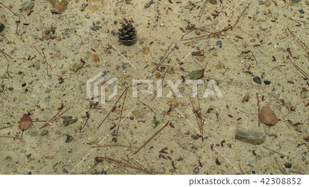 Mountain ground (fallen leaves, pebbles etc.) Mountain ground (fallen leaves, pebbles etc.) 42308852
