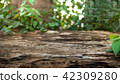 Platform for product ,stone floor with leaf  42309280