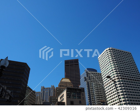 波士頓建築群城市景觀 42309316