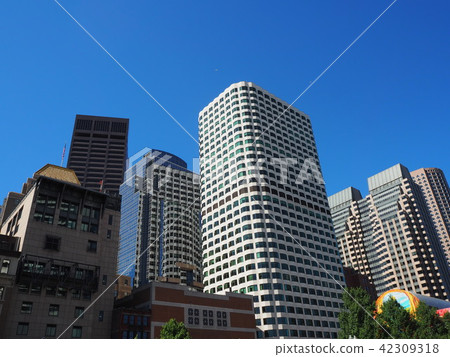 波士頓建築群城市景觀 波士頓建築群城市景觀 42309318